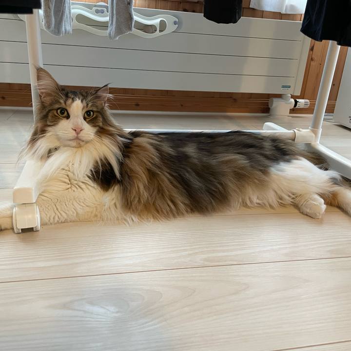 26cd852e 9e8a 41d7 b0ca e2988b016fd3 1677189198495