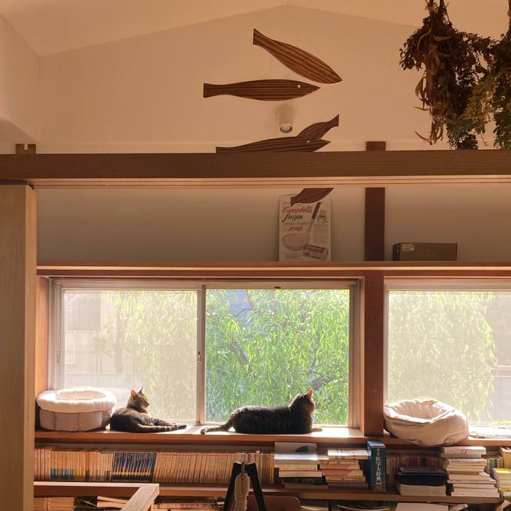 26cd8f62 2fda 46c1 afb2 3fb25448619b 1713661451524