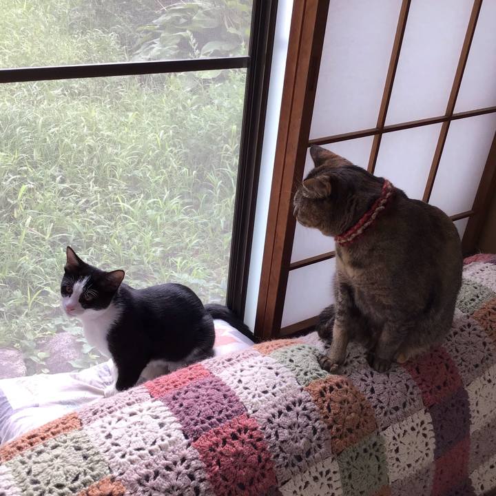 26cdc3ef df87 486a acf1 390b45e890ec 1630891250336