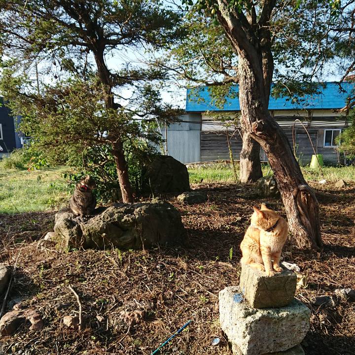 26cdcbd3 abf6 4b55 bafa b6e0d1078097 1662932895771