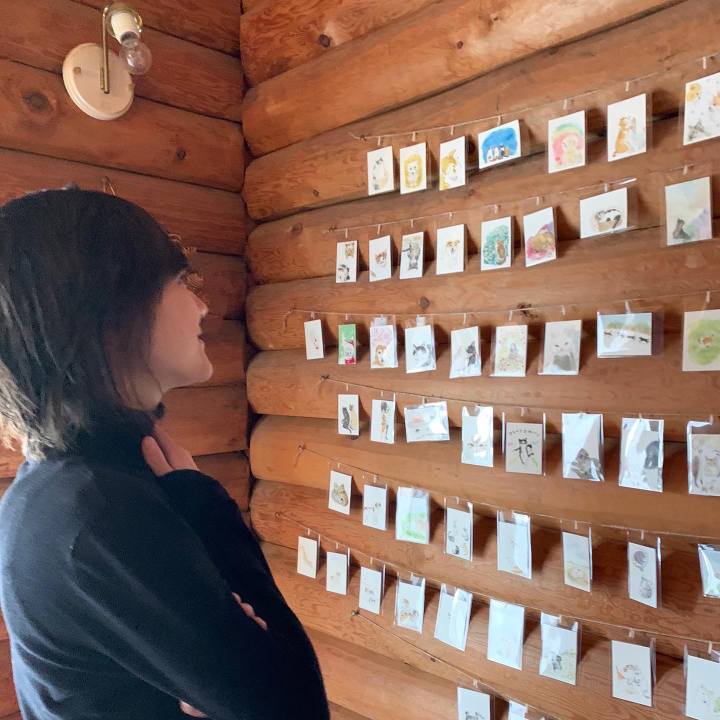 26cde23d 7a8f 4c0e 8176 e5d051fead70 1620082492417