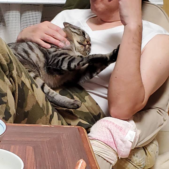 26ce0a5e 724b 48d2 ba65 04b97c93ff1f 1706196955136