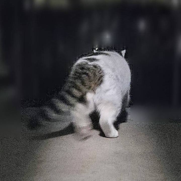 26ce1be8 04e2 417e 8391 05a23a7eec7b 1735986545990