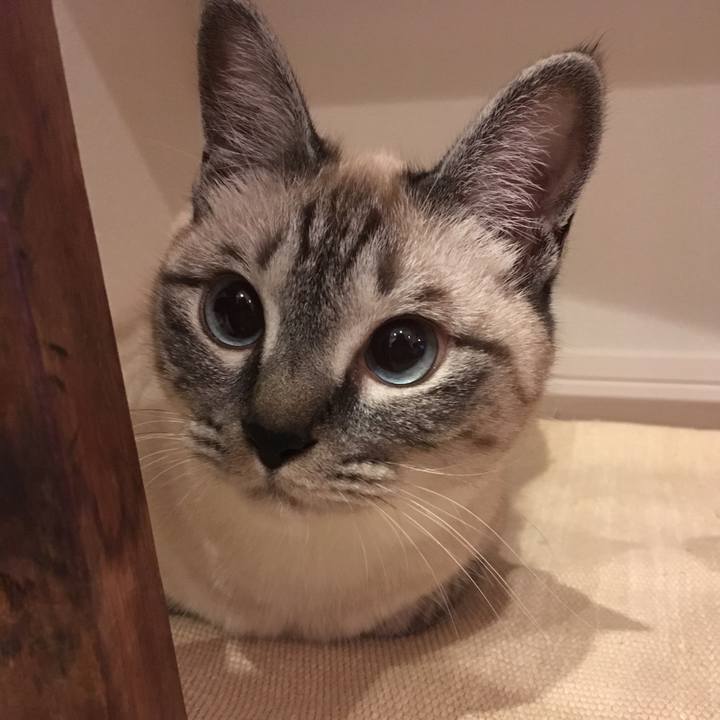 26ce30da 718a 48e6 9c69 34af1e77e83f 1561128549105