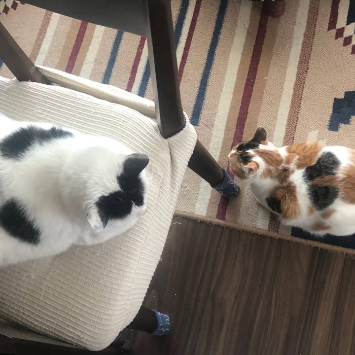 26ce6491 cce8 42bd a844 b8ef9adb5a12 1588126352060