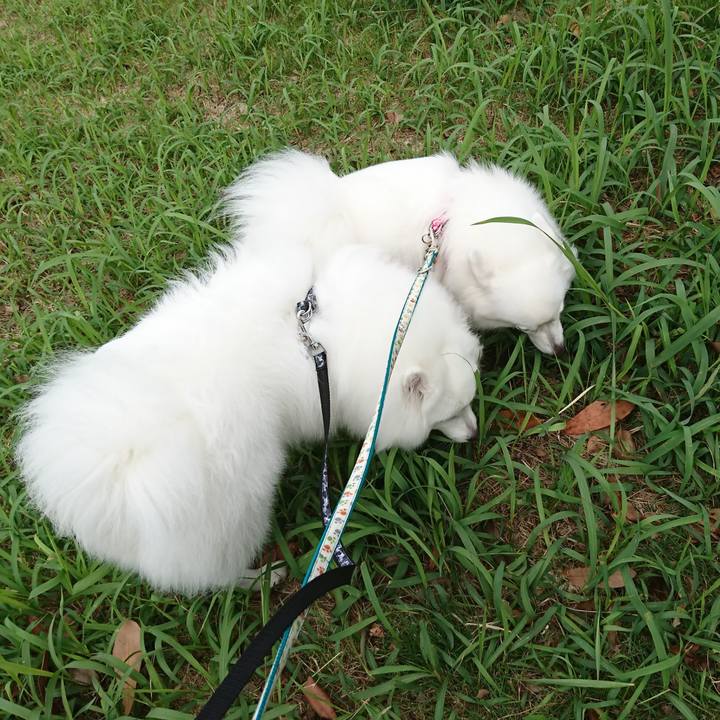 26ce74c0 e1c4 48be a741 3e39553578c4 1560234913822