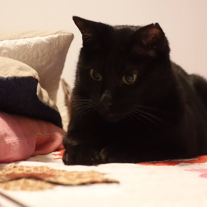 26ceb5fe 3b13 43bf 9006 04b9e8d926bf 1538233355160