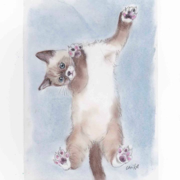 26cf07f0 96a3 4342 98f5 702809575a01 1597155182960