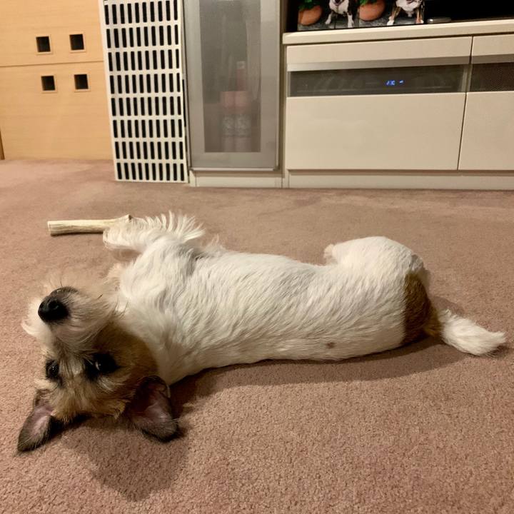 26cf3045 0cd0 45ed 805f 10a2ceb8b0f5 1600436275307