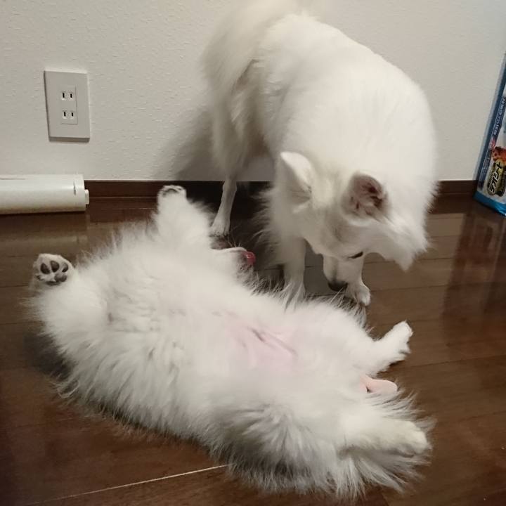 26cf7269 6305 425f a121 0fcd7568b8e4 1547729249737