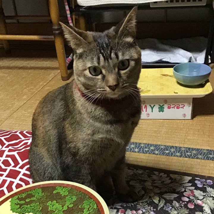 26cfb85d 2884 4844 b5c4 be99ec735235 1640077643404