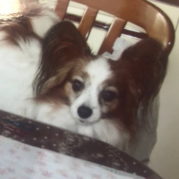 26cffaeb 0026 4962 9691 bfb7d05f3df7 1597285886884