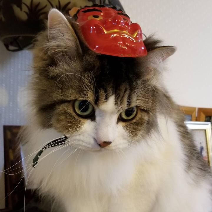 26d00c07 9ab0 43eb 810a 3aa84f0f9244 1549195410551