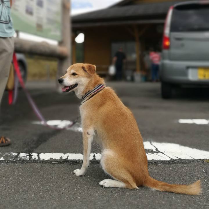 26d015af bcce 453f 9235 9d6a7f79c050 1538820945600