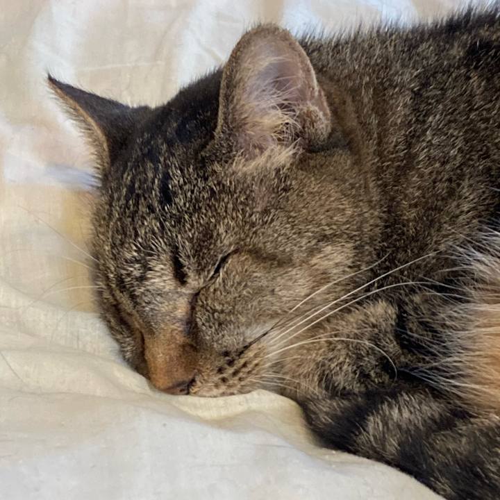 26d0826f 8a01 4234 9119 661befd54b43 1679817718534