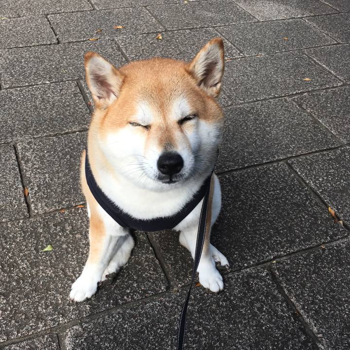 26d0a1b5 81b7 4d91 81a9 db1dc360b746 1568507006352