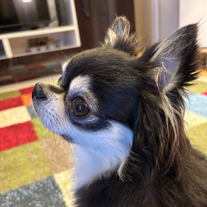 26d0ad23 ba1b 446b b6d7 fe988ac9e42f 1754153734494