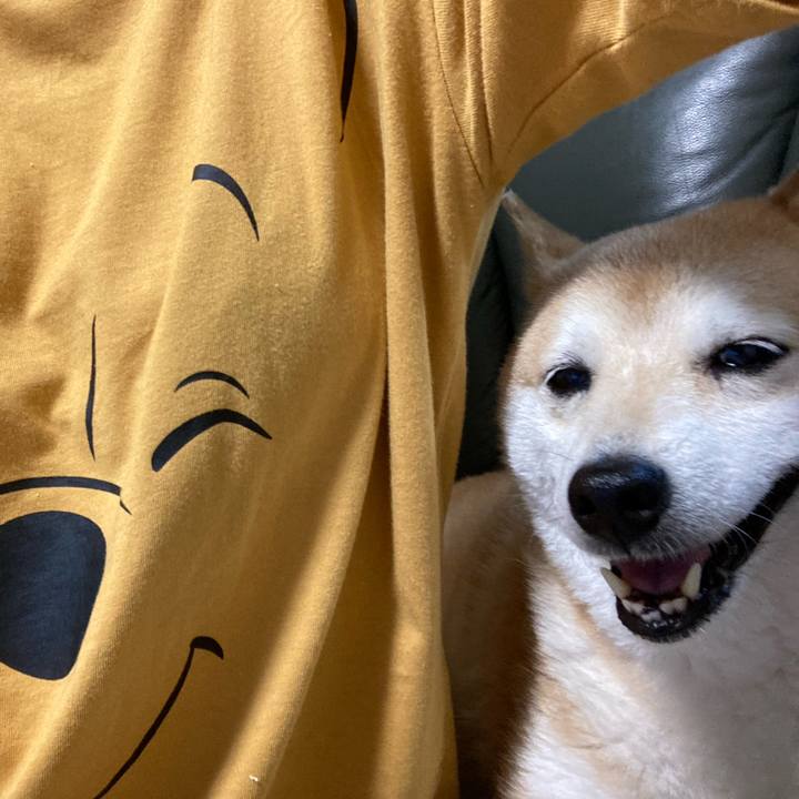 26d0bd68 67df 4d49 9fb2 d7f395c08396 1625566298749