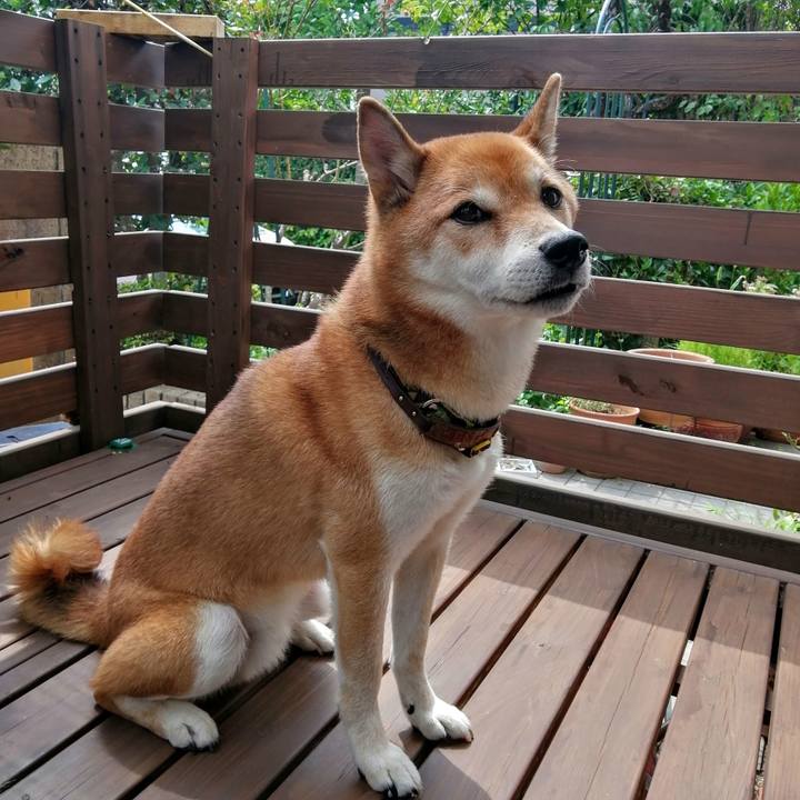 26d0e67b 64f5 4a10 bf81 8227d211b35d 1630130445672