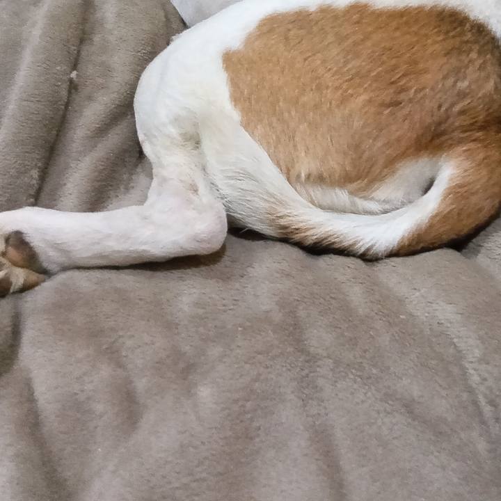 26d101cd d56d 4329 afd5 9aaa97f444d8 1742554653209