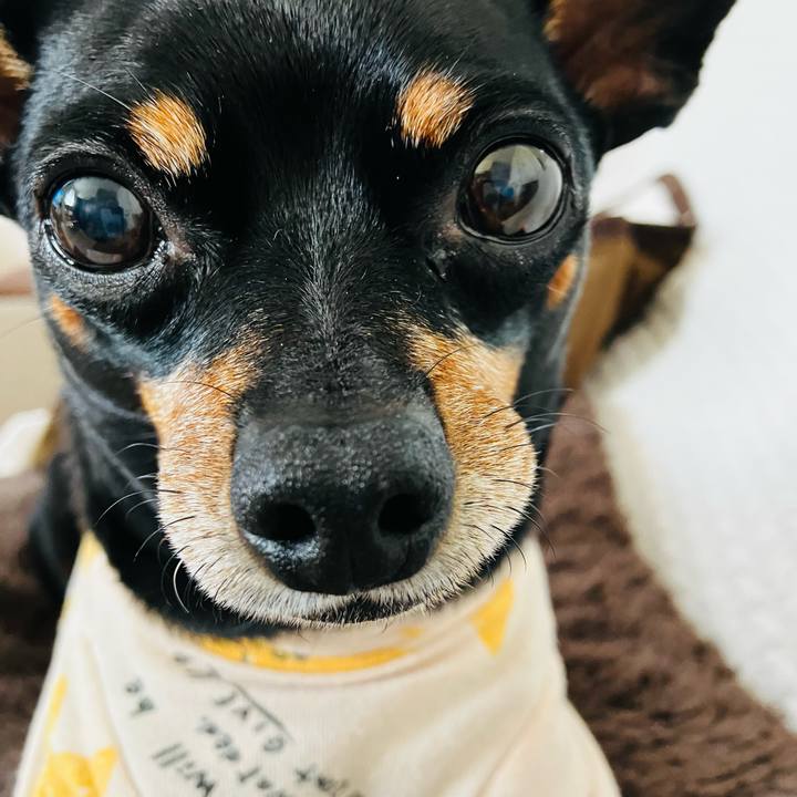 26d131d0 4a36 4cf8 979c ce8ee52f0555 1749073543427