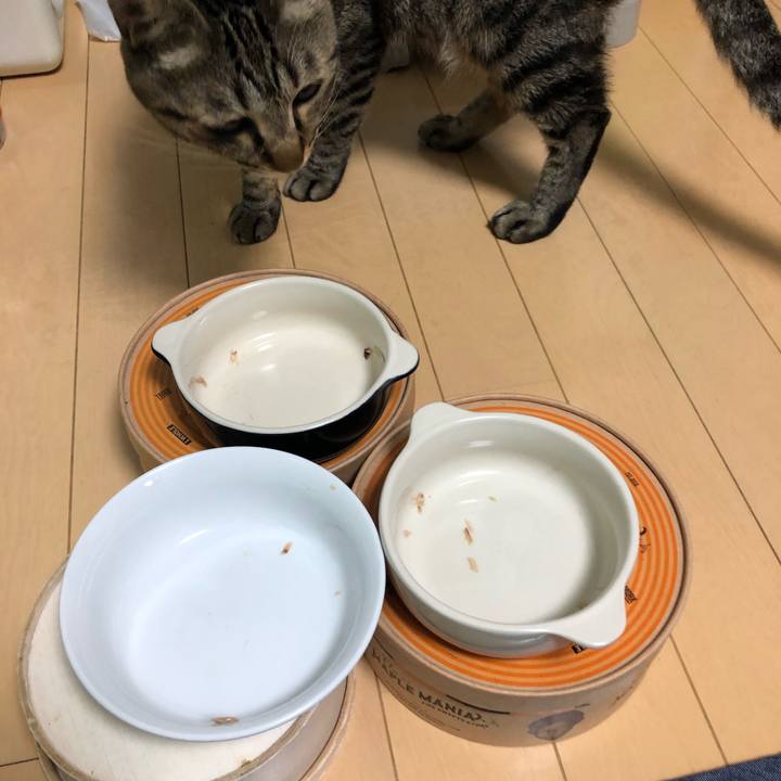 26d13c1d 001f 43cb 987a 2c1da87d4637 1562273322022