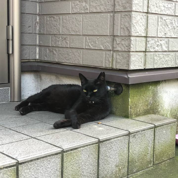 26d15afa 6d96 46bf 933a bd6e67cbff45 1564849708259