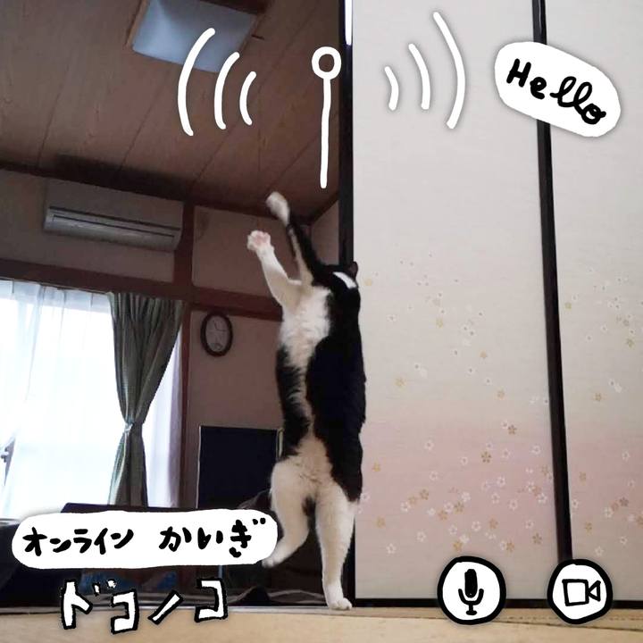 26d1658e dfdd 4b84 8a3b 992d01e09b75 1590671238038