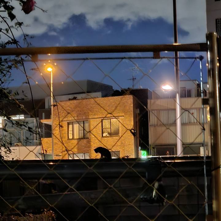 26d17e06 15dc 48db 9aea ceee50f9197d 1701177110469