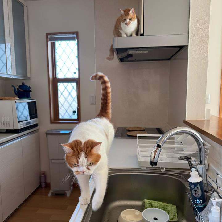 26d1a5a8 35b7 4926 9bec cb02f54fbce4 1766714844448