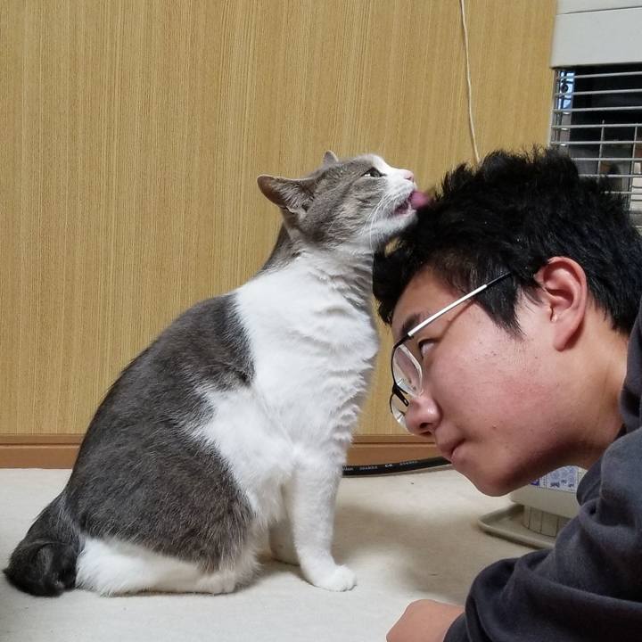 26d1a5cd 3994 49da 8f00 dc8397550bc1 1654436670091