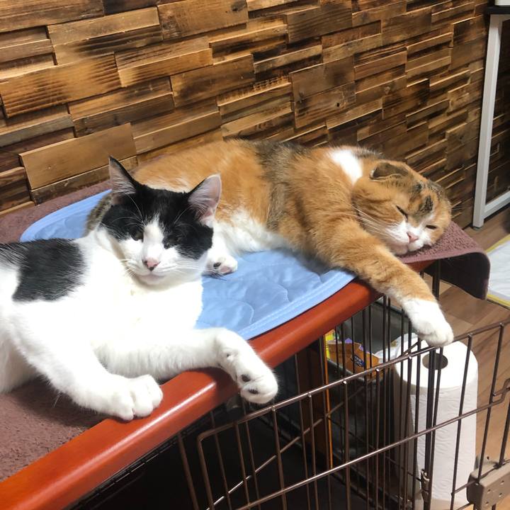 26d1ba2d cbe4 4635 871b 1558872b76ea 1627742659882