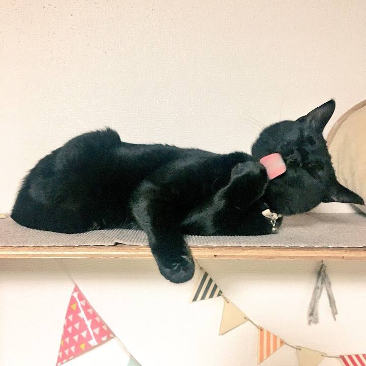 26d1c527 4c7f 45ec b780 abd770f6a98b 1527864065843