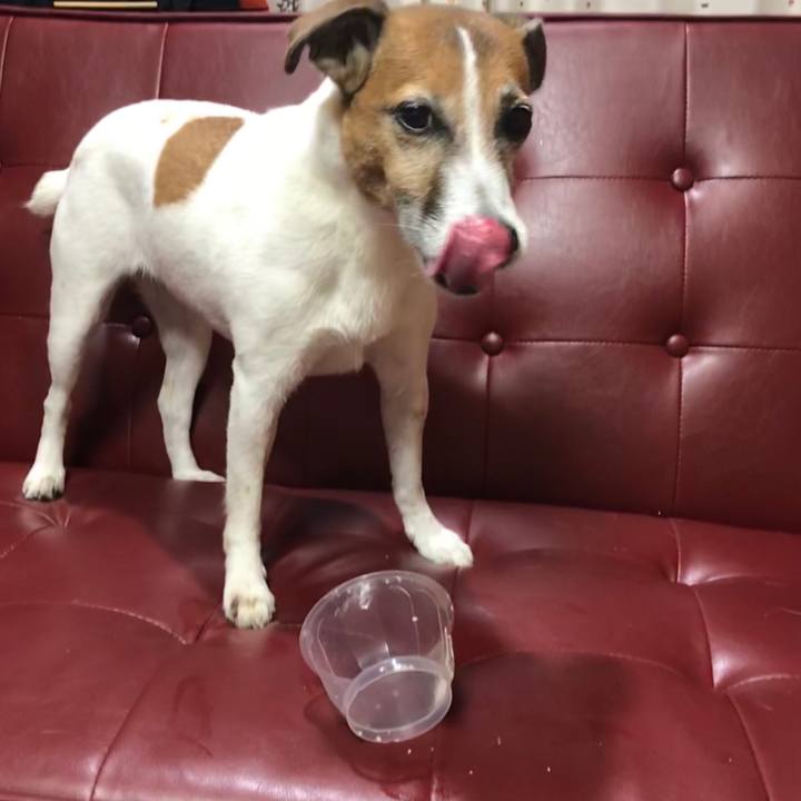 26d1d895 8a84 4bdb a7a5 6a1fac35b560 1530365319779