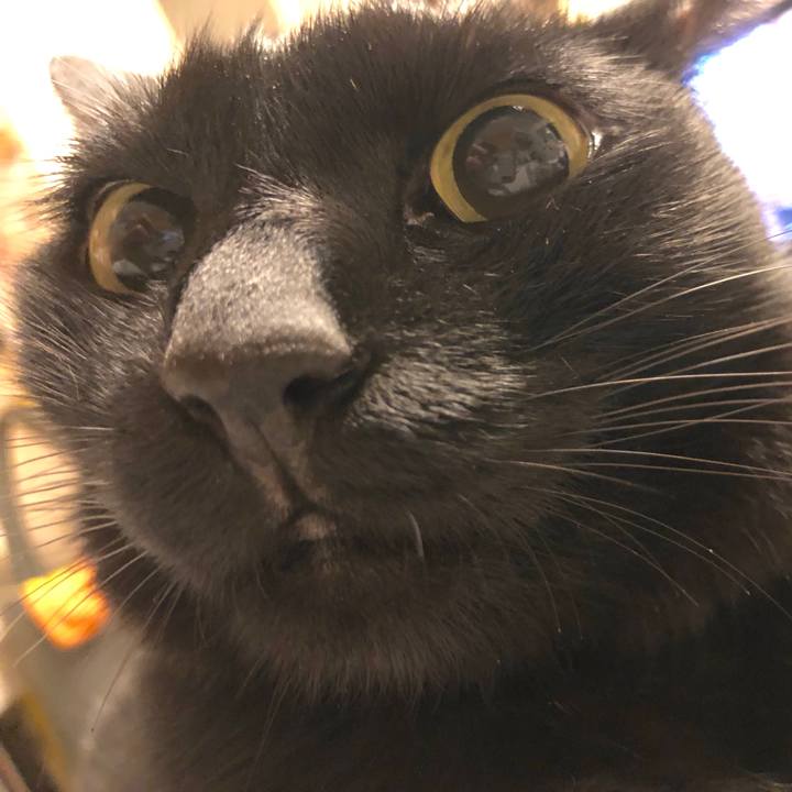 26d1f64a 7168 4a5f 8e35 0890118713c5 1539437636560