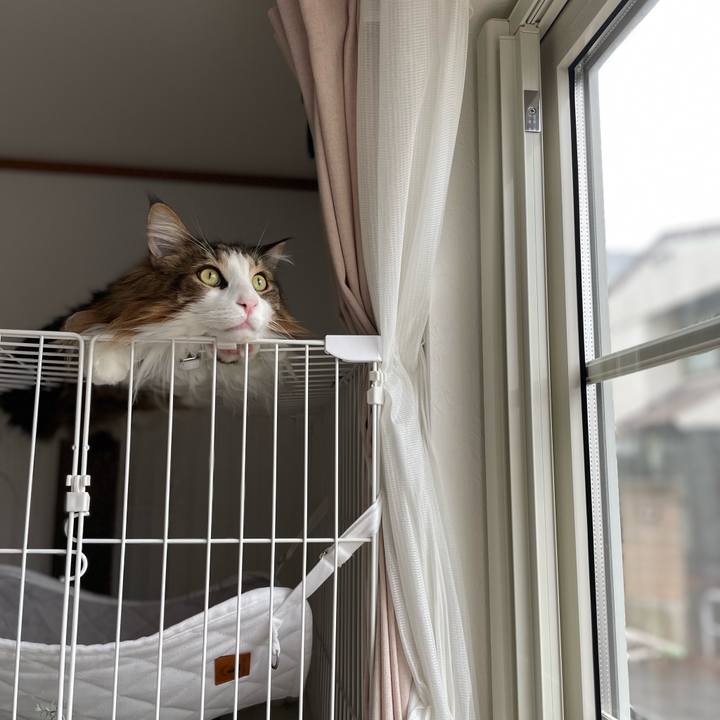 26d20d8a 4cda 4824 be1a 52677ba13f00 1679811611369