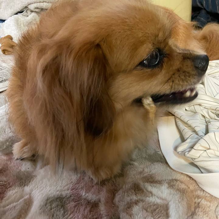 26d22b89 d6c4 4eaf ab6b 7fdc05865d41 1594416830761