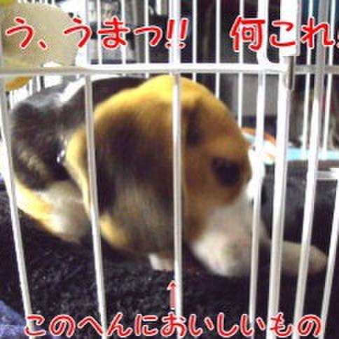 26d23047 064a 484a 9ffc 023c90ad3713 1680481131323