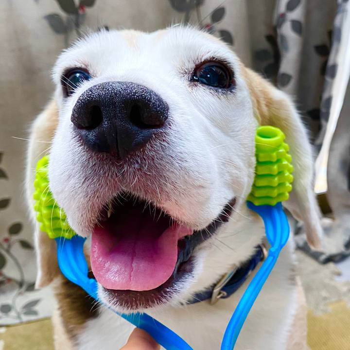 26d2621c db24 4480 9323 9ab91119faf3 1597030179633