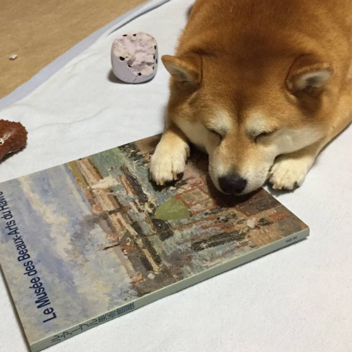 26d26d2b 36fa 4640 a7e6 e5b6a1fc64ae 1547211274527