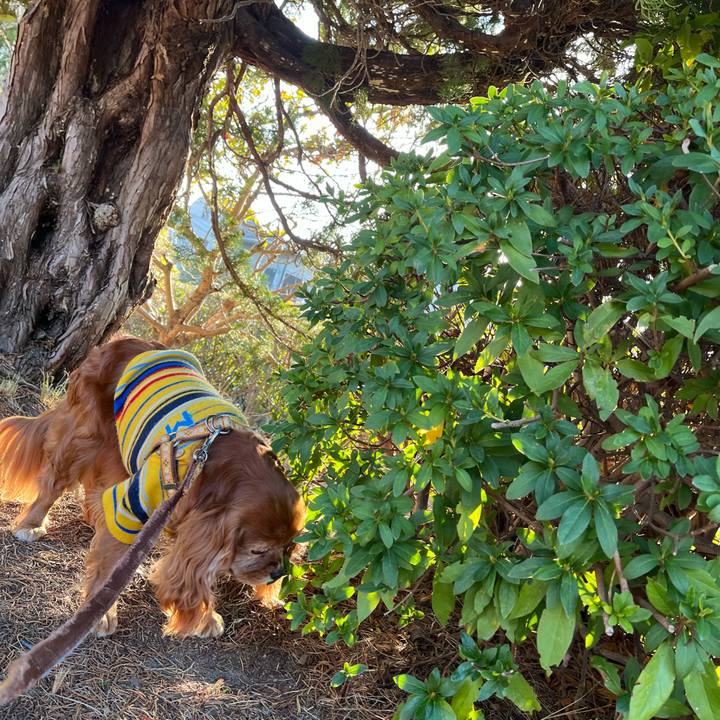 26d28c27 2421 4ac2 aae9 6f1b447de9ca 1707696647386