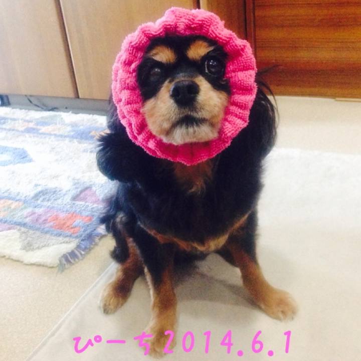 26d2917f 072b 4a8c abab 5405a27ac5f8 1554082265055