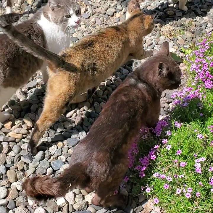 26d2bae1 bd10 422e bac2 d93fced8ca2d 1718446498882