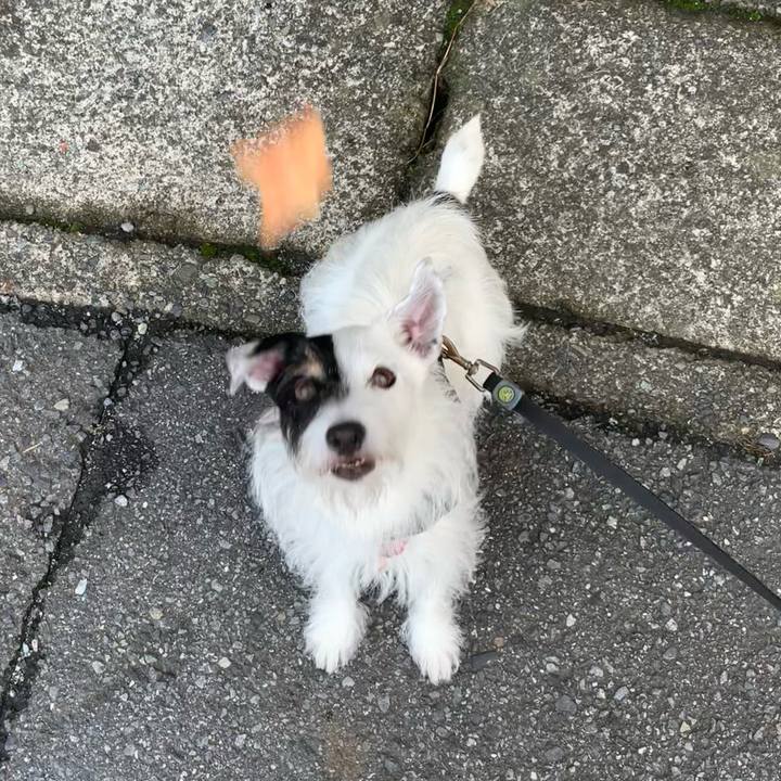 26d303db fcf4 4b15 986e 818e88a323ff 1694818590621