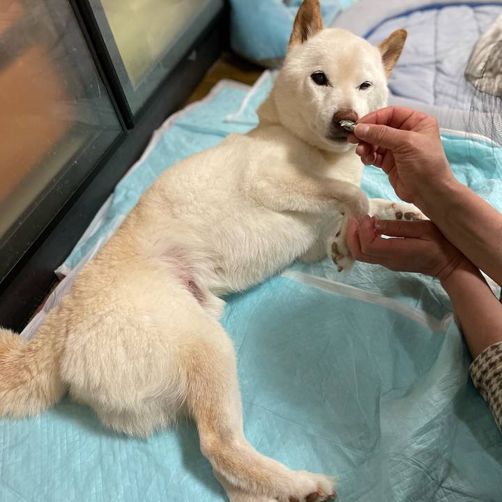 26d31eee bda5 429e 908e 1826662b1f8f 1647253681710