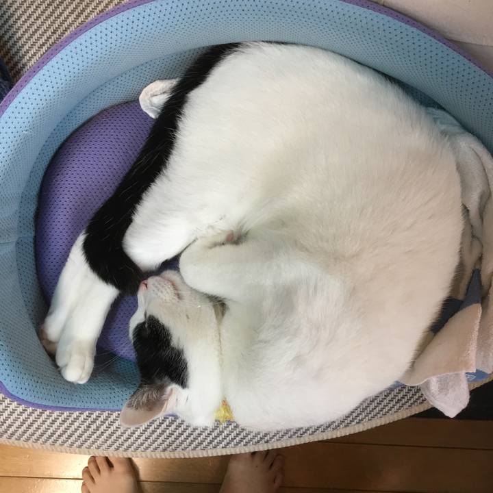 26d32967 2b17 4253 b6b0 dc3b10c2dee9 1508044661619