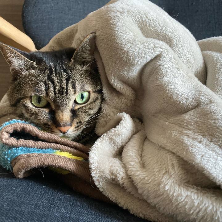 26d32aba c849 4f73 96aa 2fc958ad3555 1678073126849