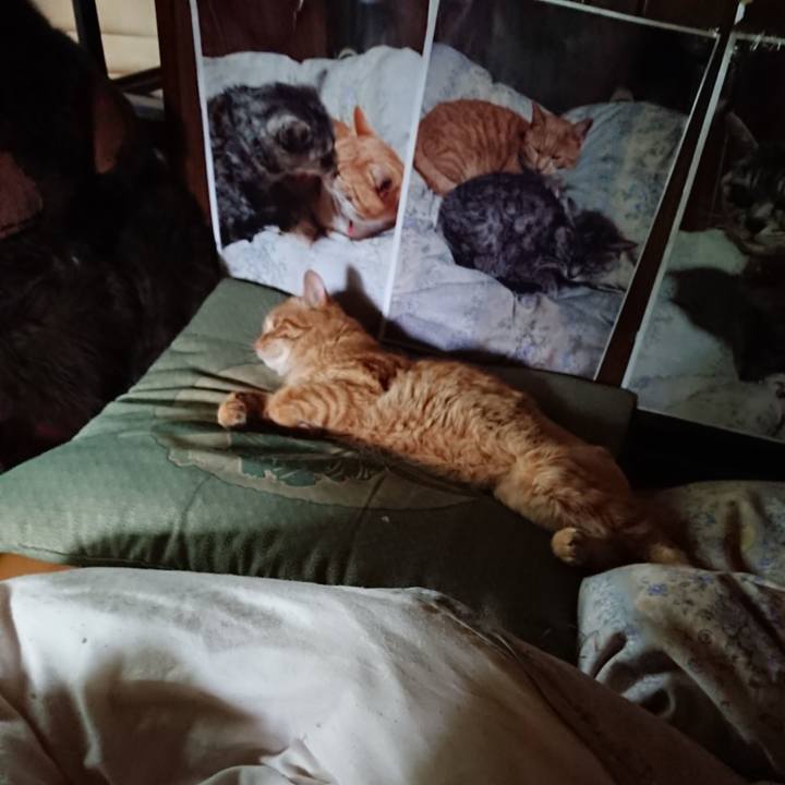 26d37ec2 73e3 4311 97a8 7adf111183fc 1657603895299