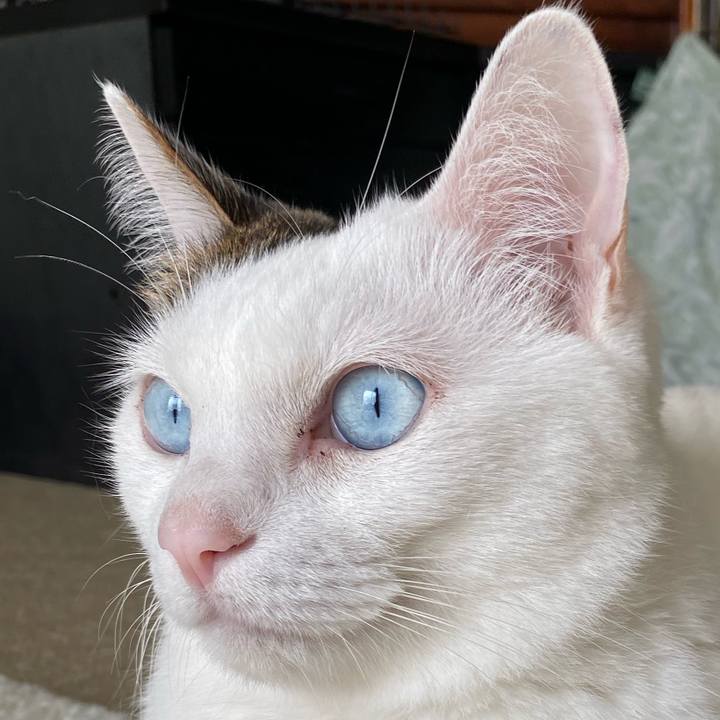 26d3d68c 156d 4792 bb6e 3f1e92db3856 1666999899490