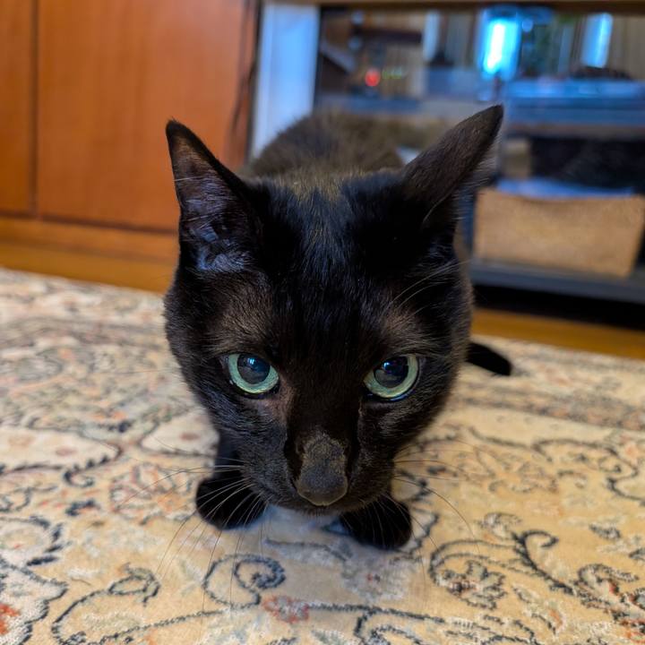 26d3f01f 6c84 4036 9ecf 0623b1ba5eb3 1775602639704